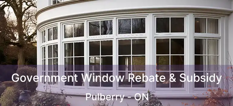  Government Window Rebate & Subsidy Pulberry - ON