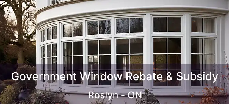  Government Window Rebate & Subsidy Roslyn - ON