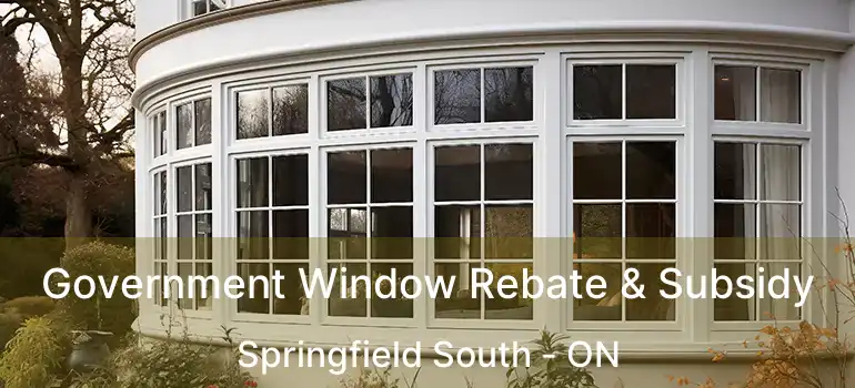  Government Window Rebate & Subsidy Springfield South - ON