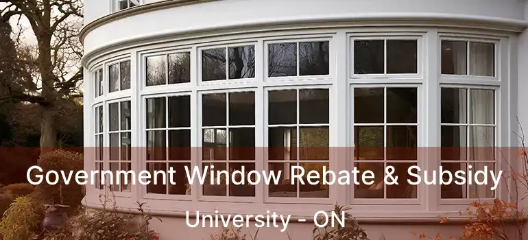  Government Window Rebate & Subsidy University - ON