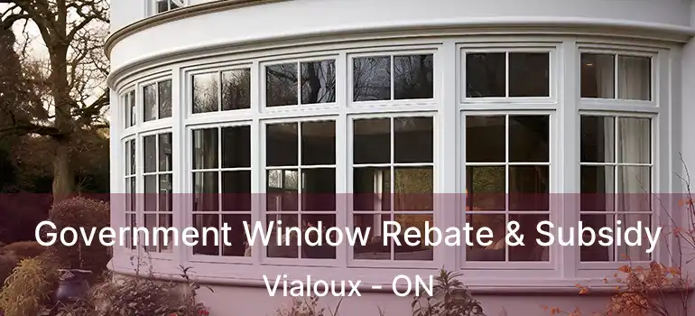  Government Window Rebate & Subsidy Vialoux - ON