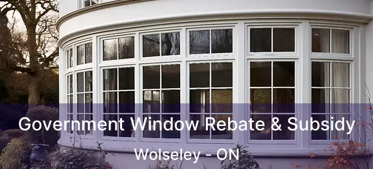  Government Window Rebate & Subsidy Wolseley - ON