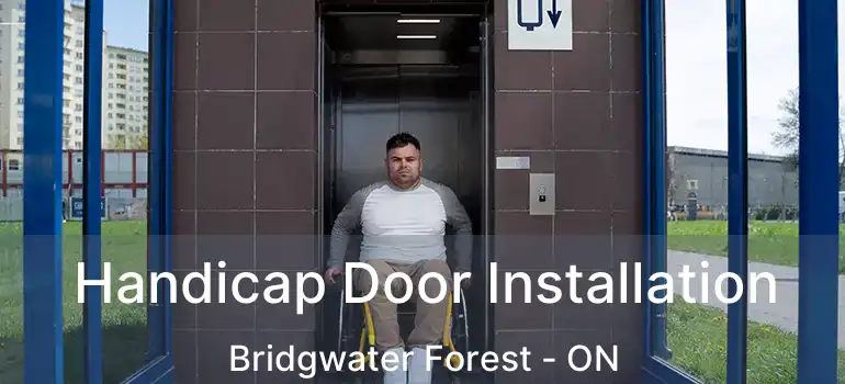  Handicap Door Installation Bridgwater Forest - ON