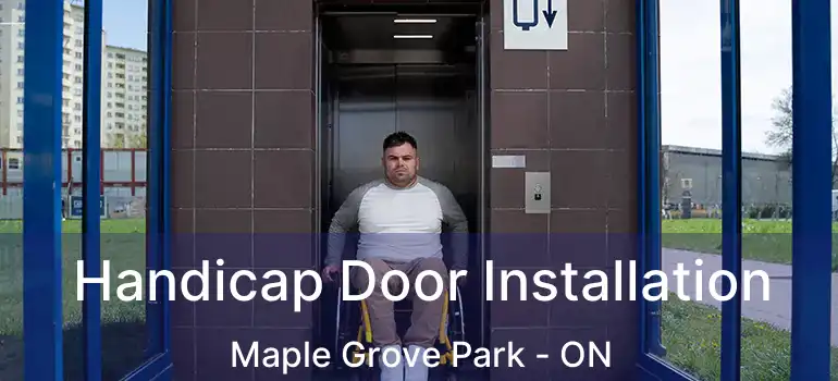  Handicap Door Installation Maple Grove Park - ON