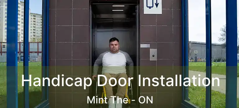  Handicap Door Installation Mint The - ON