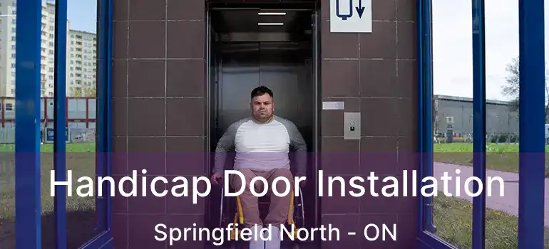  Handicap Door Installation Springfield North - ON