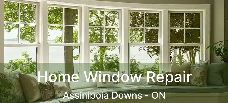  Home Window Repair Assiniboia Downs - ON