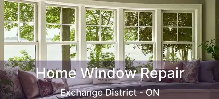  Home Window Repair Exchange District - ON