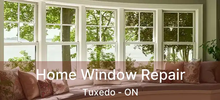 Home Window Repair Tuxedo - ON
