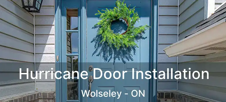  Hurricane Door Installation Wolseley - ON