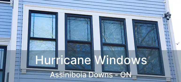  Hurricane Windows Assiniboia Downs - ON