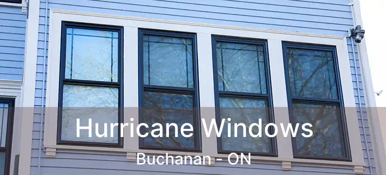  Hurricane Windows Buchanan - ON