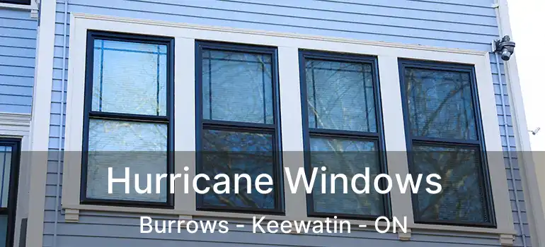  Hurricane Windows Burrows - Keewatin - ON