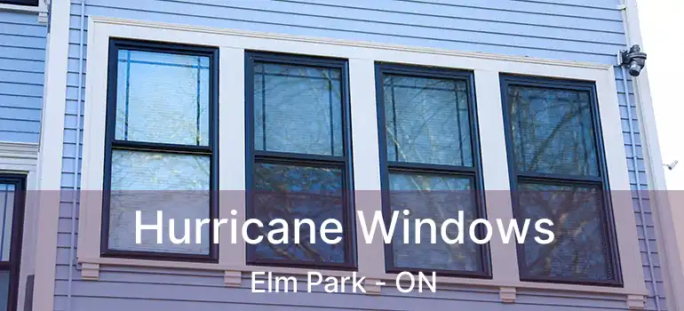  Hurricane Windows Elm Park - ON