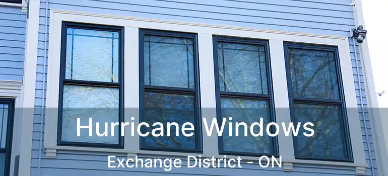  Hurricane Windows Exchange District - ON
