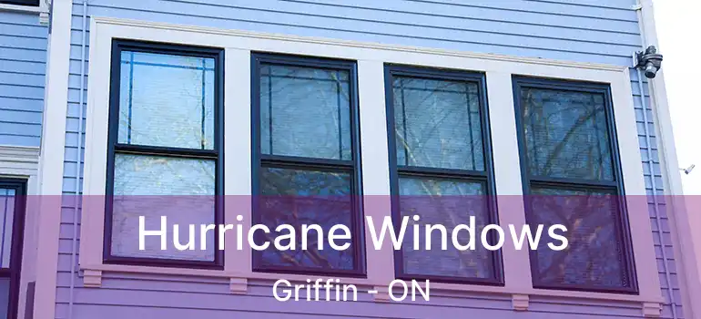  Hurricane Windows Griffin - ON