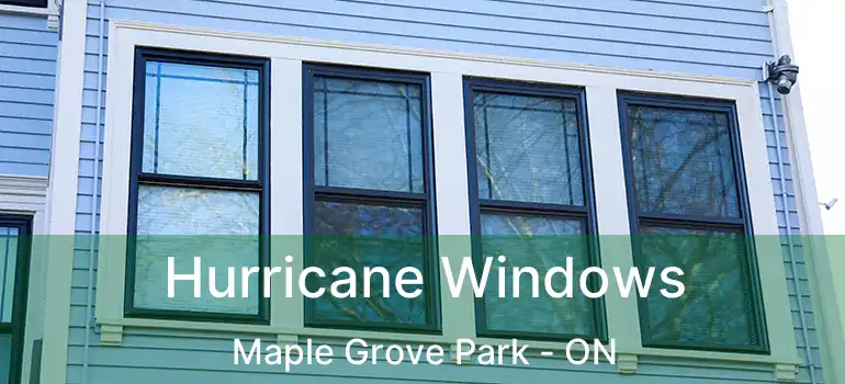  Hurricane Windows Maple Grove Park - ON