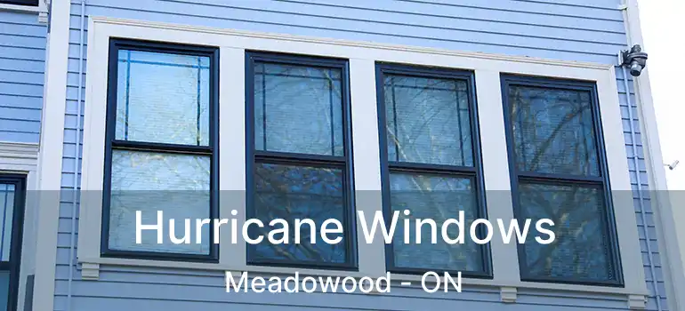  Hurricane Windows Meadowood - ON