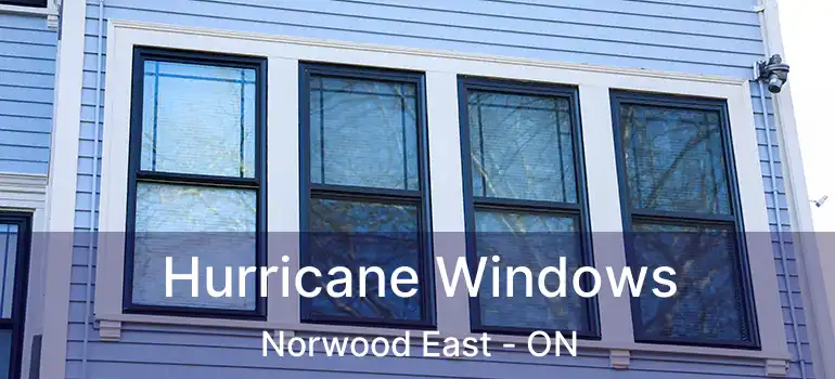  Hurricane Windows Norwood East - ON