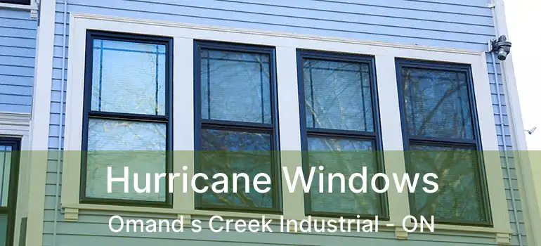  Hurricane Windows Omand s Creek Industrial - ON