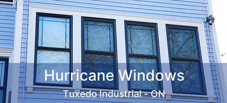  Hurricane Windows Tuxedo Industrial - ON