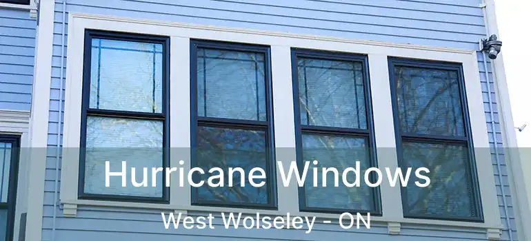  Hurricane Windows West Wolseley - ON