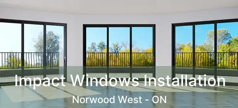  Impact Windows Installation Norwood West - ON