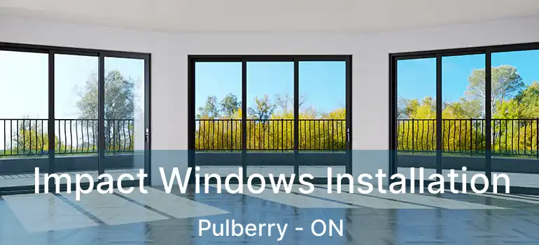  Impact Windows Installation Pulberry - ON