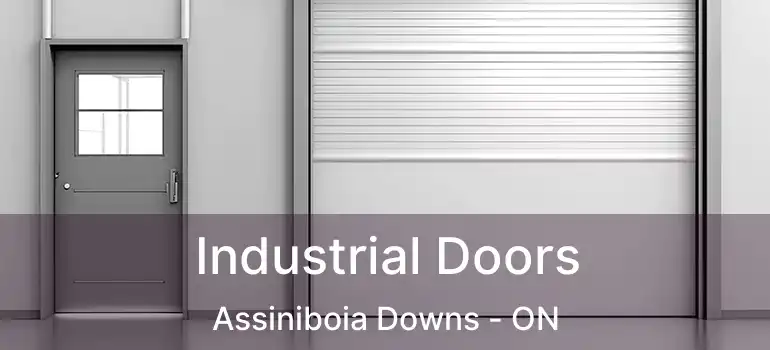  Industrial Doors Assiniboia Downs - ON
