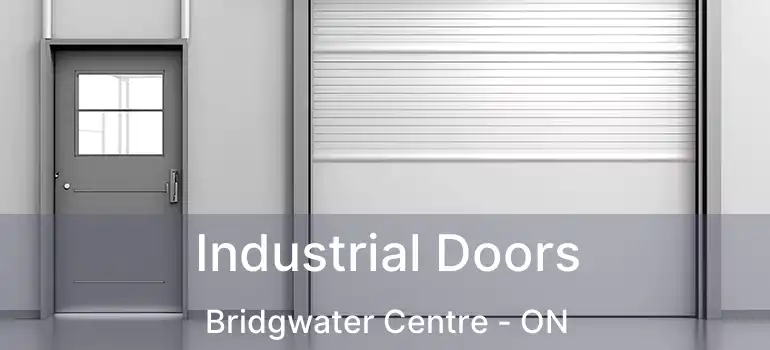  Industrial Doors Bridgwater Centre - ON