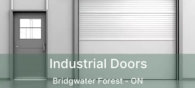  Industrial Doors Bridgwater Forest - ON