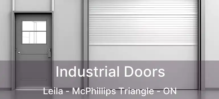  Industrial Doors Leila - McPhillips Triangle - ON