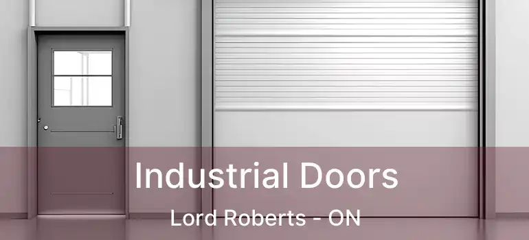  Industrial Doors Lord Roberts - ON