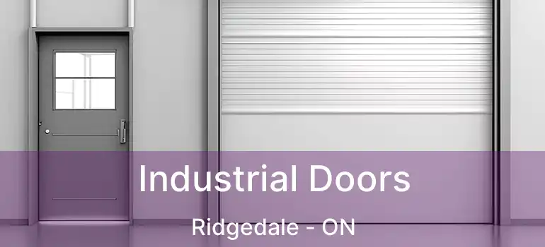  Industrial Doors Ridgedale - ON