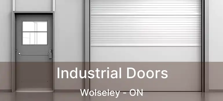  Industrial Doors Wolseley - ON