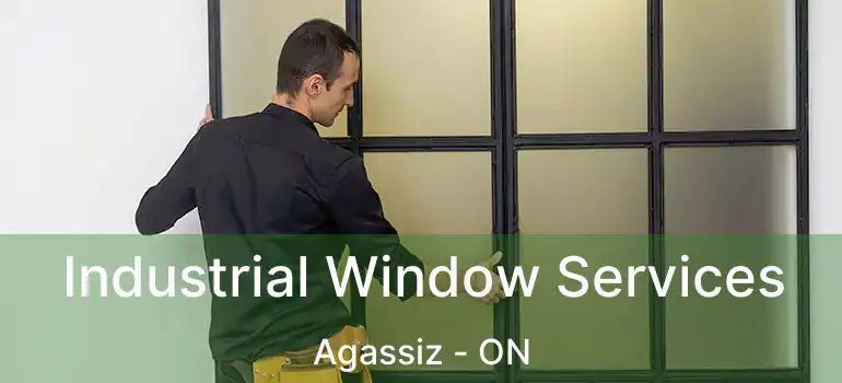  Industrial Window Services Agassiz - ON