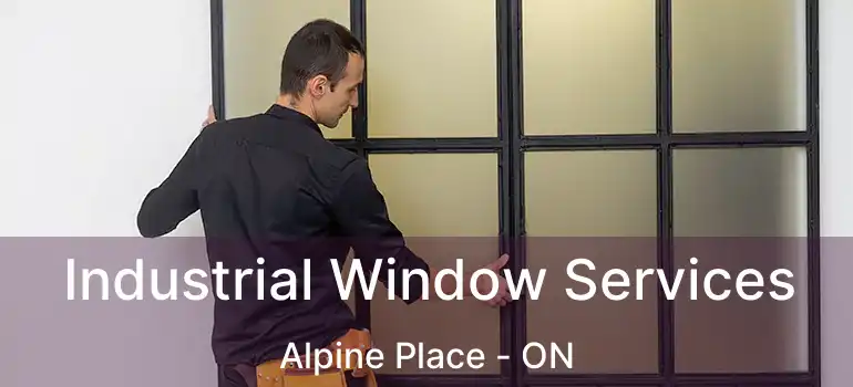  Industrial Window Services Alpine Place - ON