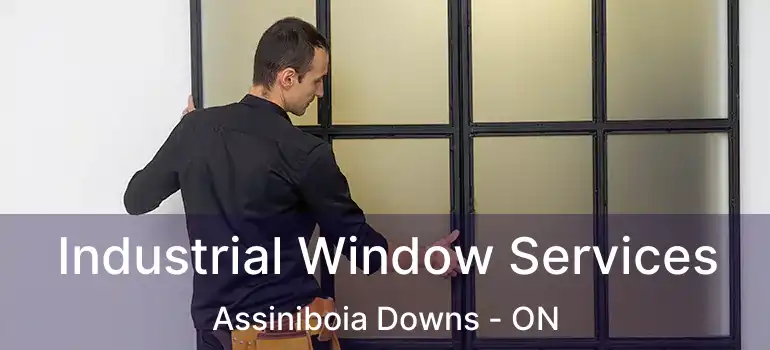  Industrial Window Services Assiniboia Downs - ON