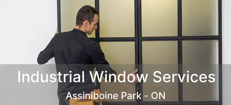  Industrial Window Services Assiniboine Park - ON