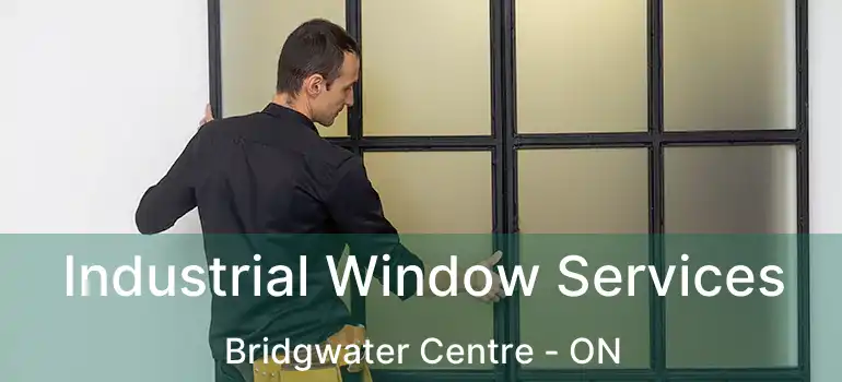  Industrial Window Services Bridgwater Centre - ON