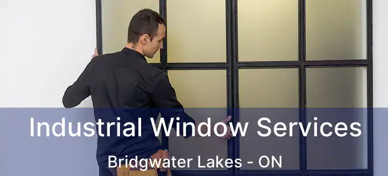  Industrial Window Services Bridgwater Lakes - ON