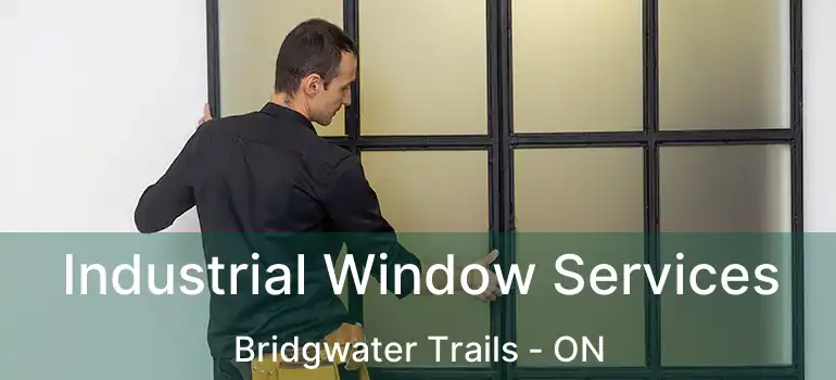  Industrial Window Services Bridgwater Trails - ON