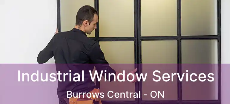  Industrial Window Services Burrows Central - ON