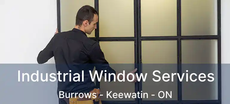  Industrial Window Services Burrows - Keewatin - ON