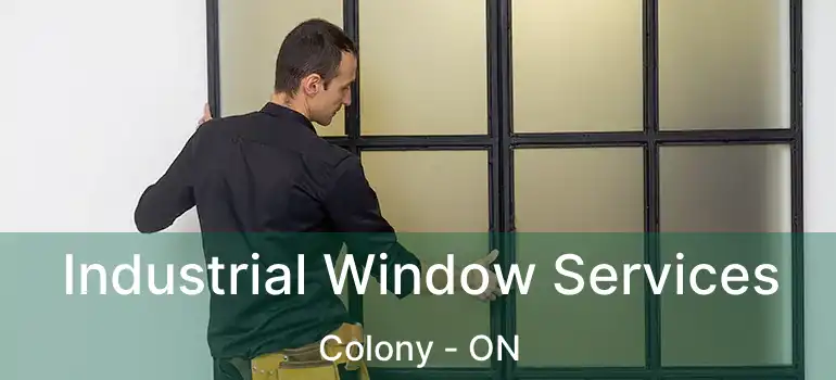  Industrial Window Services Colony - ON