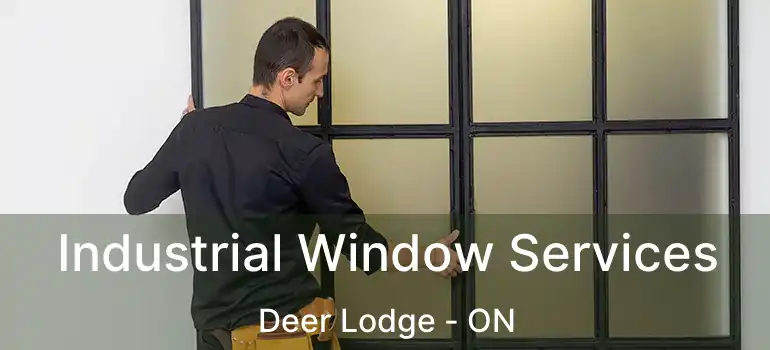  Industrial Window Services Deer Lodge - ON
