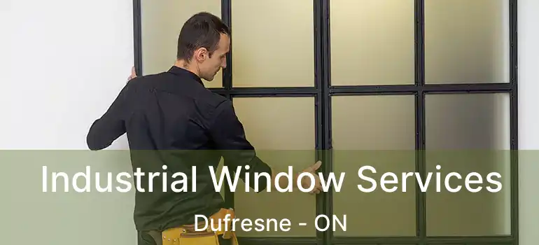  Industrial Window Services Dufresne - ON