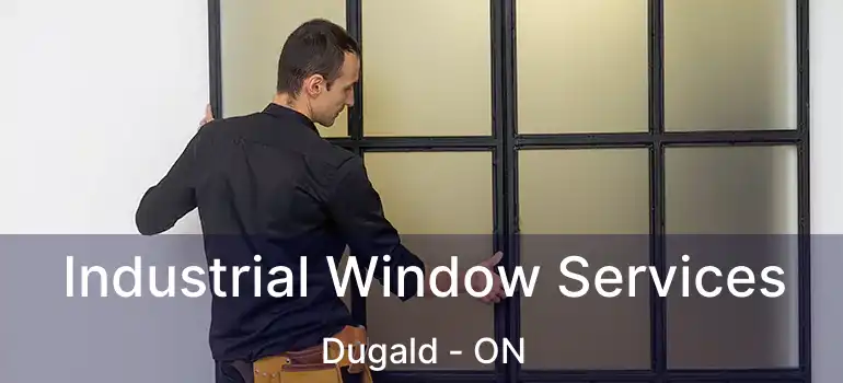  Industrial Window Services Dugald - ON