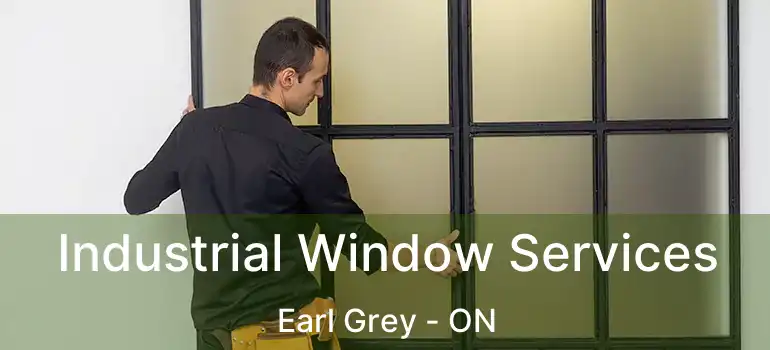  Industrial Window Services Earl Grey - ON