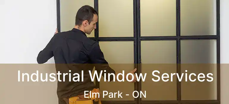  Industrial Window Services Elm Park - ON